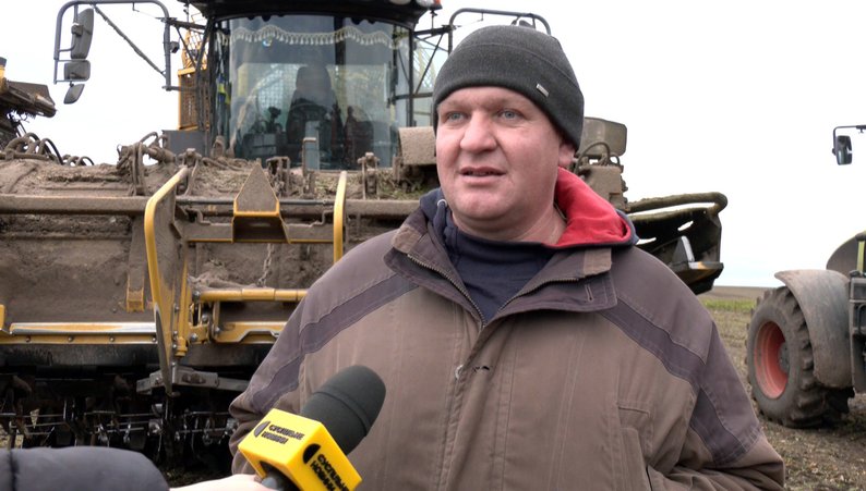 «Пощастило з погодою»: на полях Волині зібрали понад 500 тисяч тонн цукрових буряків