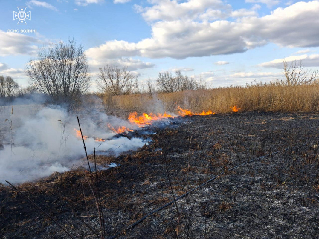 На Волині через людську недбалість згоріли хлів і понад 7 гектарів сухої трави