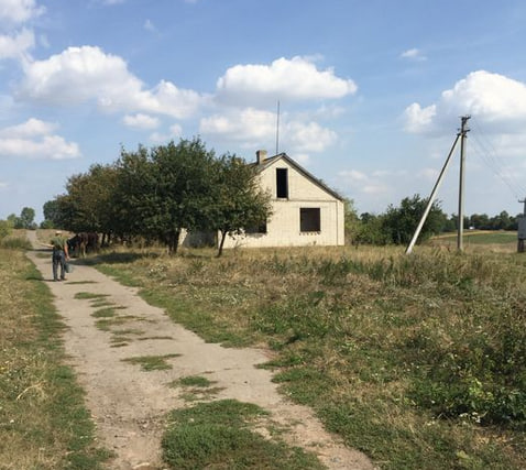 Біля Луцька продають свиноферму за 4 мільйони