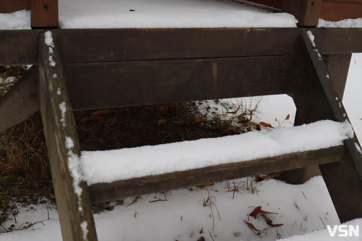 Останній день 2025 у Луцьку: місто в очікуванні Нового року. Фоторепортаж