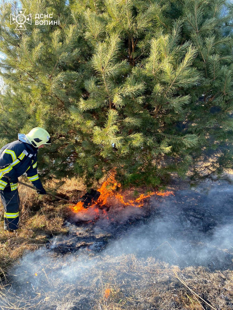 Палають поля: на Волині за день сталося шість пожеж сухостою