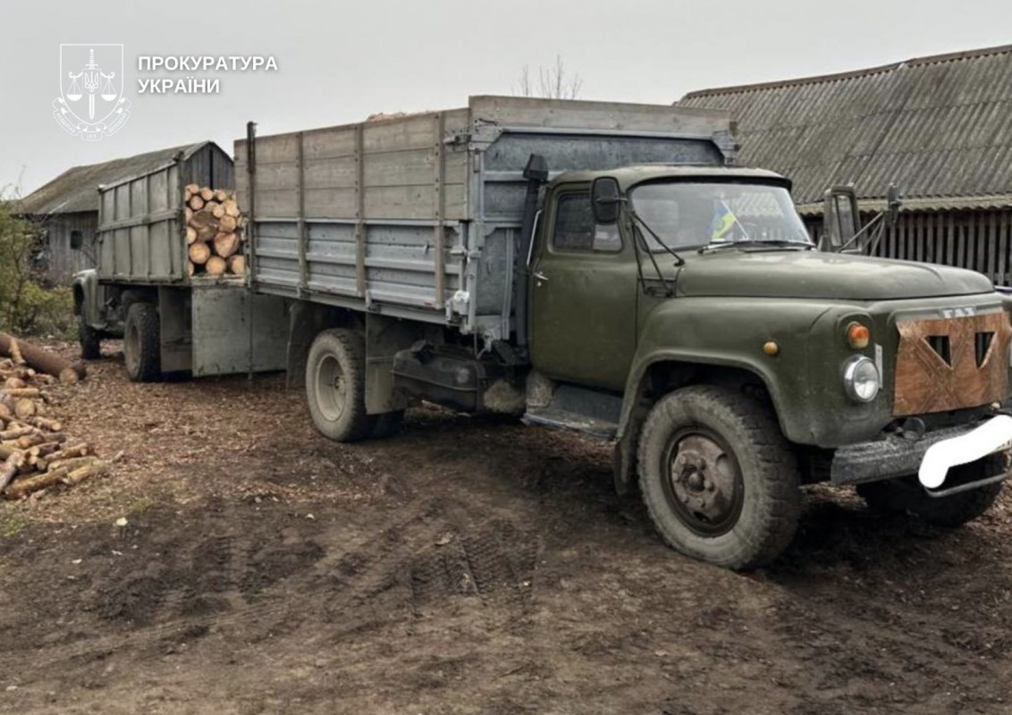 На Волині судитимуть злочинну організацію лісокрадів: збитки понад 6 млн грн