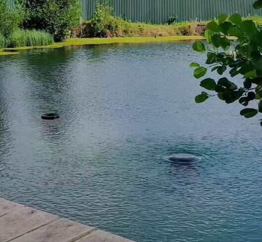 На Волині «зникло» унікальне джерело: місце з цілющою водою перетворилося на смітник