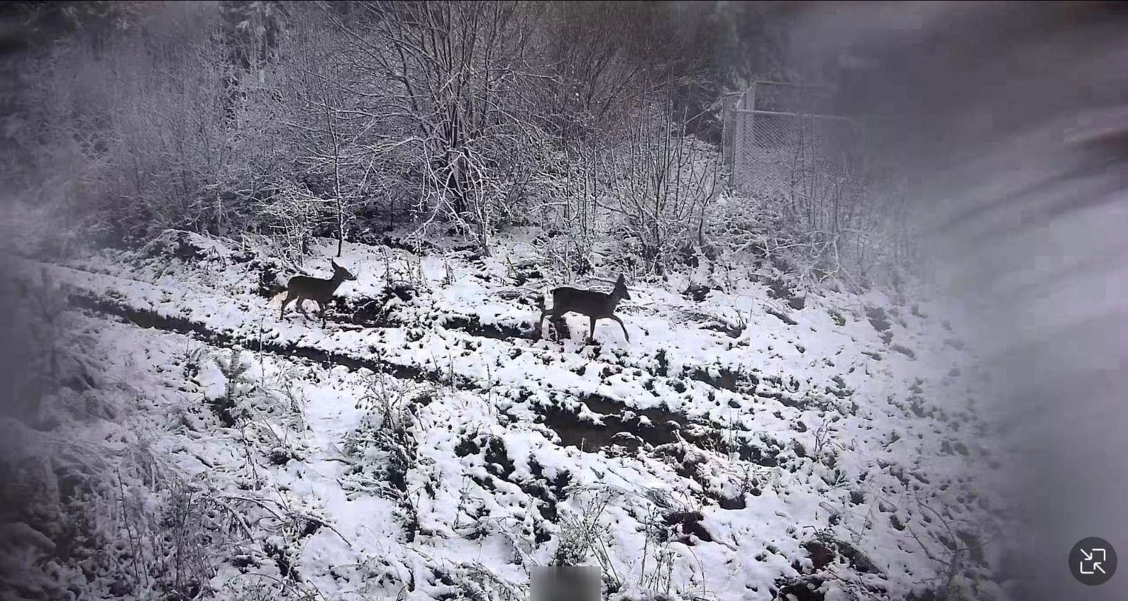 Сусідню з Волинню область засипало снігом. Фото