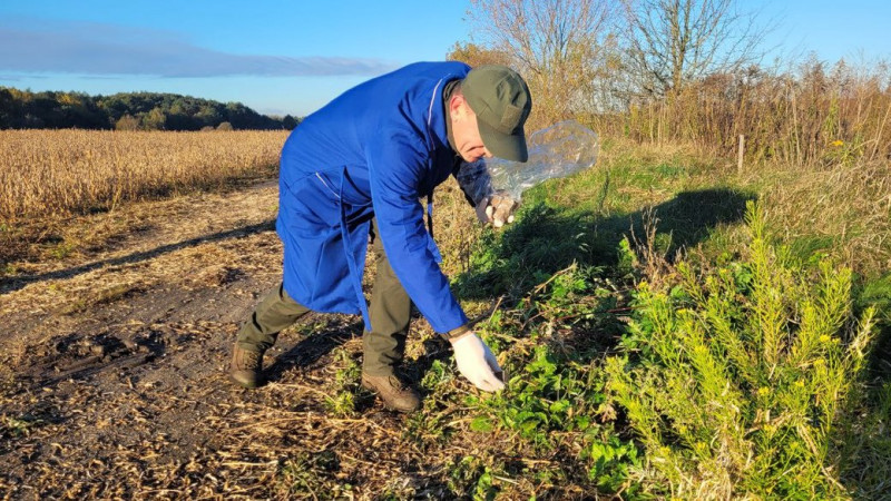 Коли на Волині розпочнуть вакцинацію диких тварин проти сказу