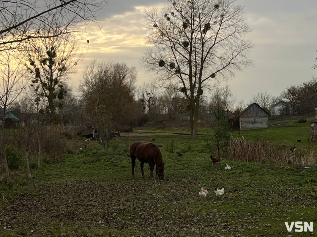 Заснували як місце покарання для людей: невідома історія села на Волині. Фоторепортаж