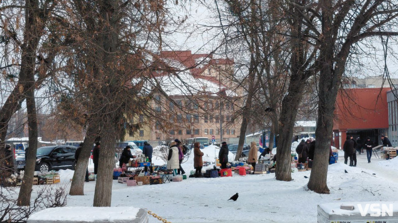 Скільки коштує картопля на ринках у Луцьку: огляд цін