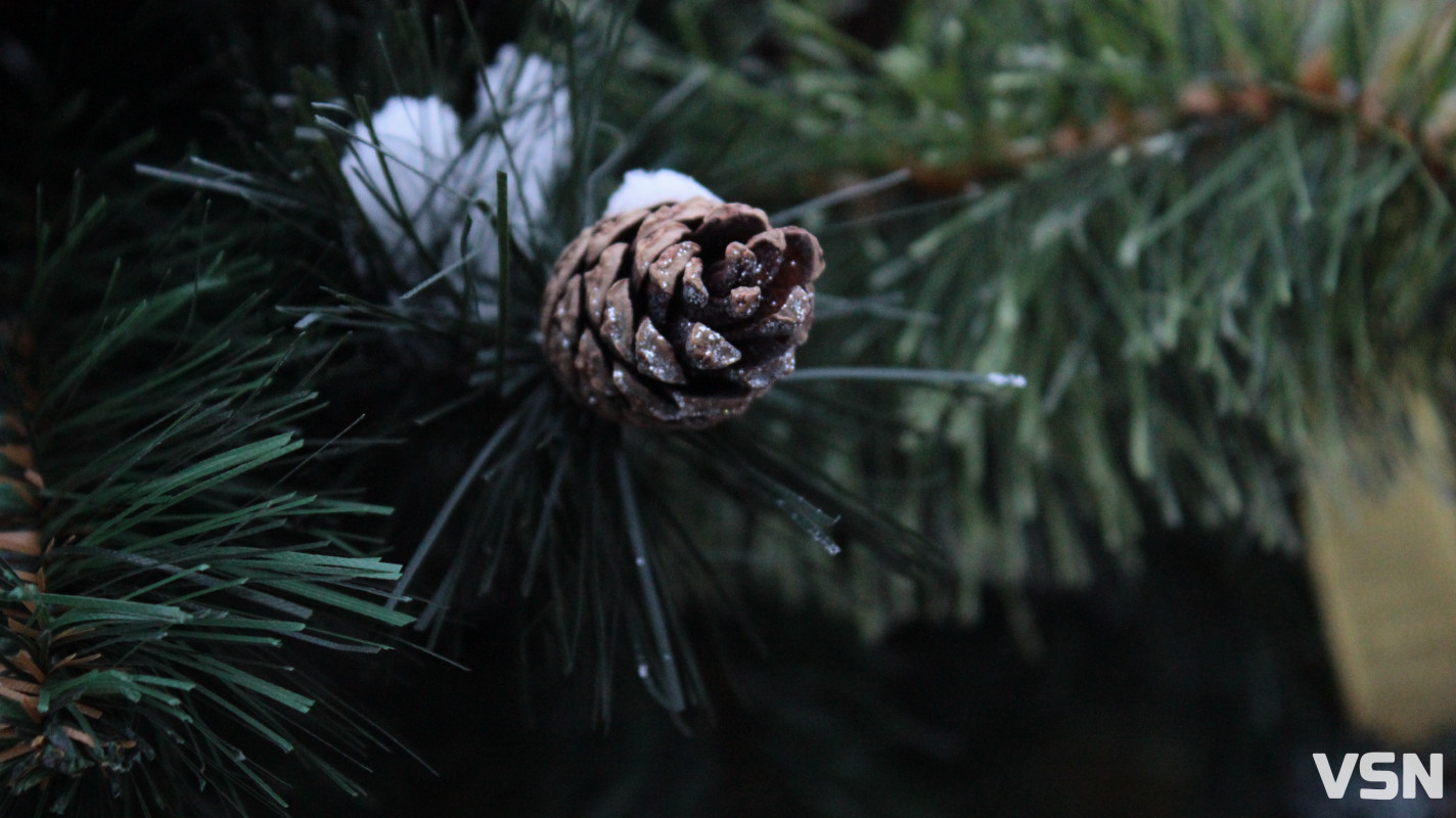 Засніжений Луцьк: як виглядають парки та двори міста взимку напередодні Нового 2026 року. Фоторепортаж