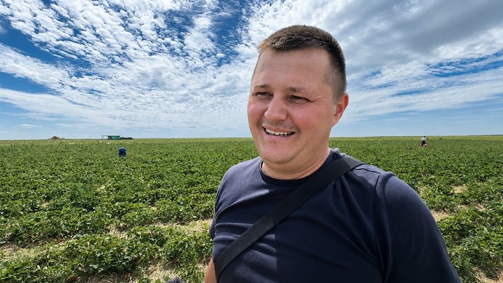 «За два дні заробила місячну зарплату»: як на Волині збирають полуницю та скільки платять за сезонну роботу