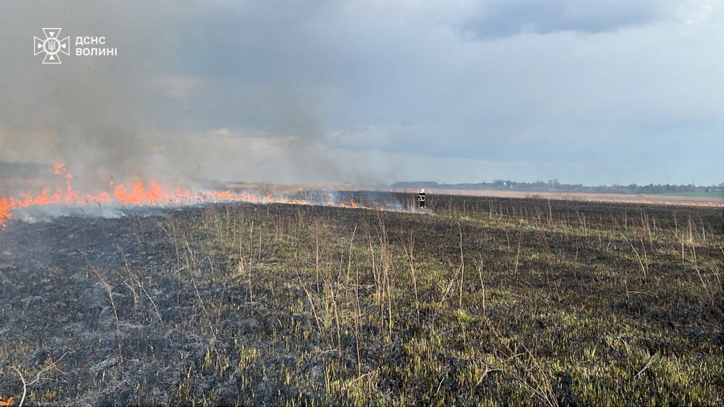 На Волині вигоріло понад 5 гектарів території: рятувальники ліквідували 4 пожежі