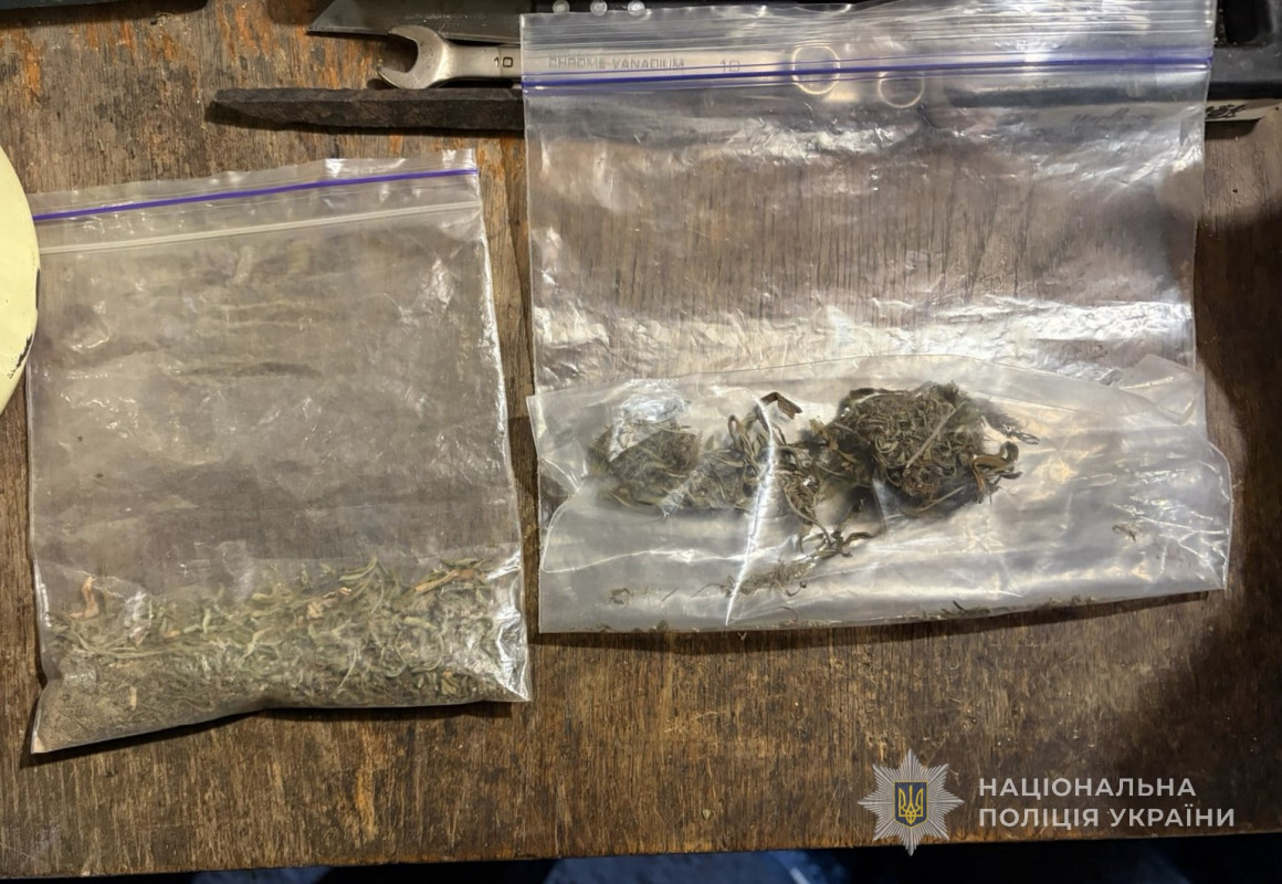 Заробляли до 250 тисяч на місяць: восьмеро волинян збували наркотики, отримані за програмою терапії