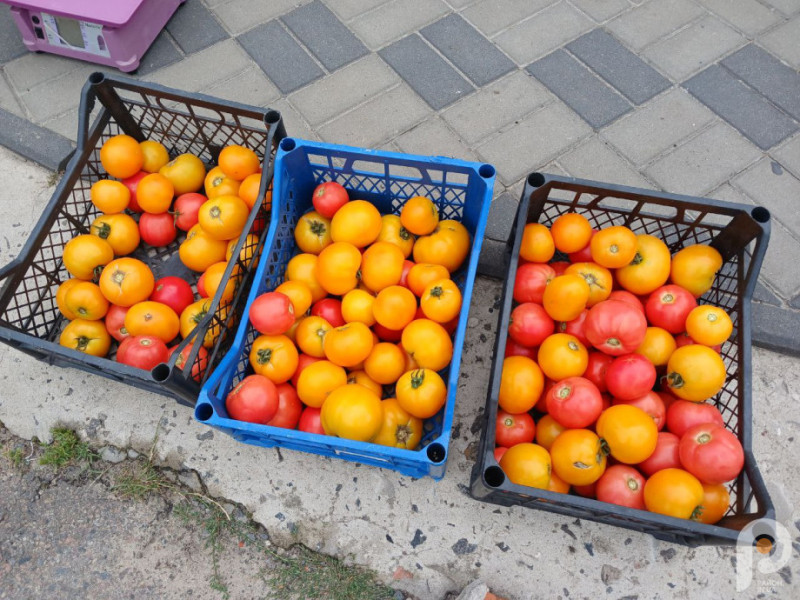 Сезон помідорів: скільки коштують ягоди на волинському ринку