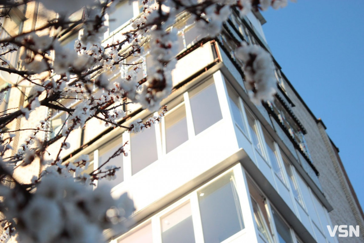 Після нічного холоду на Волині господарі можуть втратити більшість ранніх фруктів