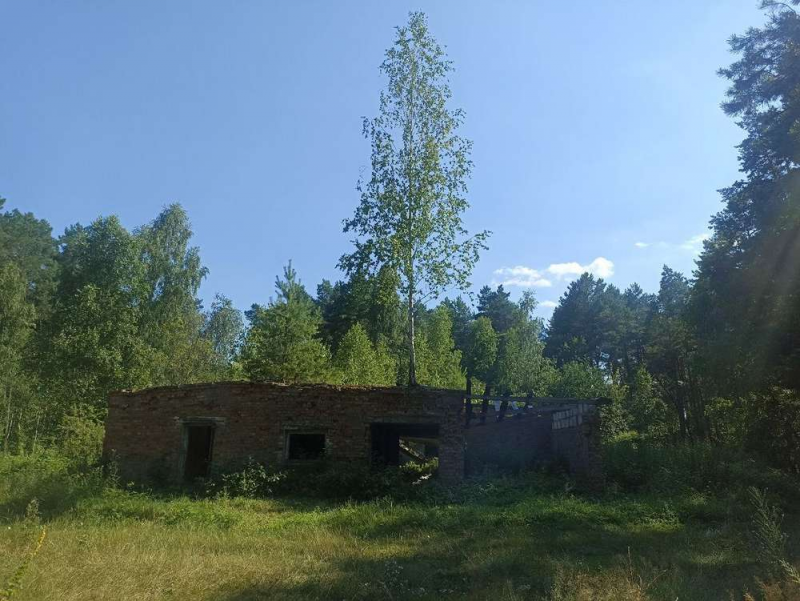 Цілюща вода, інстаграмні локації, смаколики та повістки: «родзинки» відпочинку на Шацьких озерах під час війни