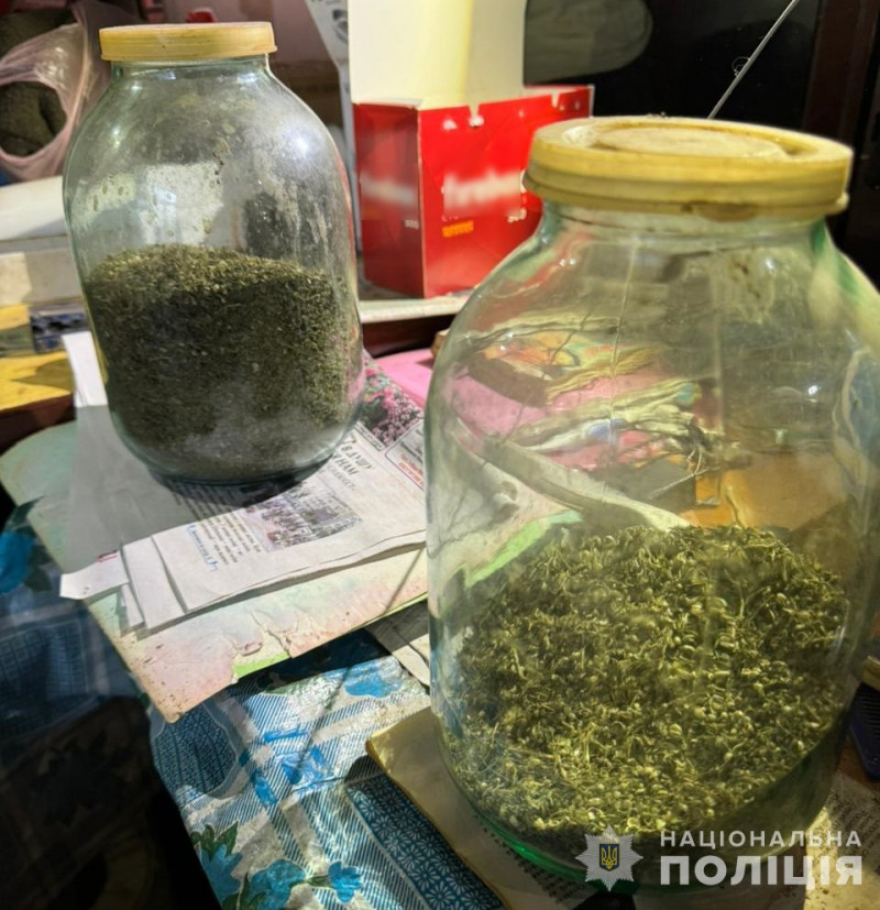 Насадив коноплі та маку: поліцейські вилучили у волинянина наркотики