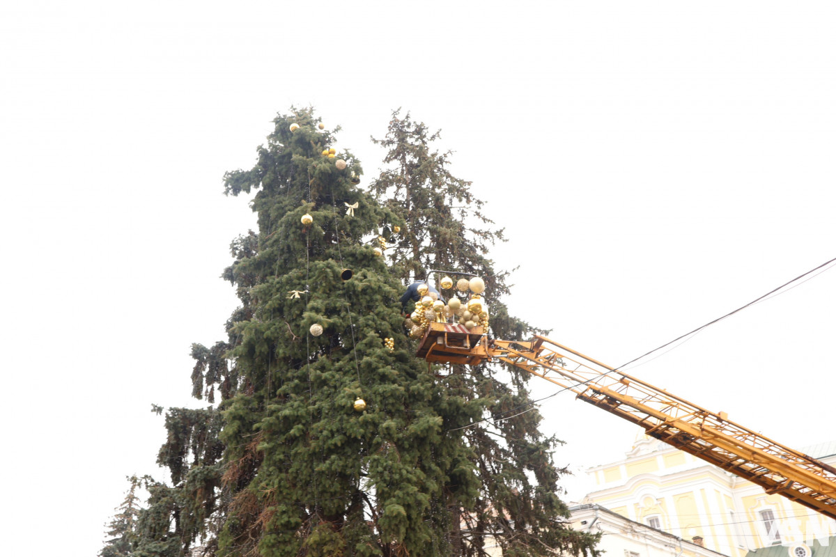 Луцьк в очікуванні свята: ялинки прикрашені, місто готується до Різдва