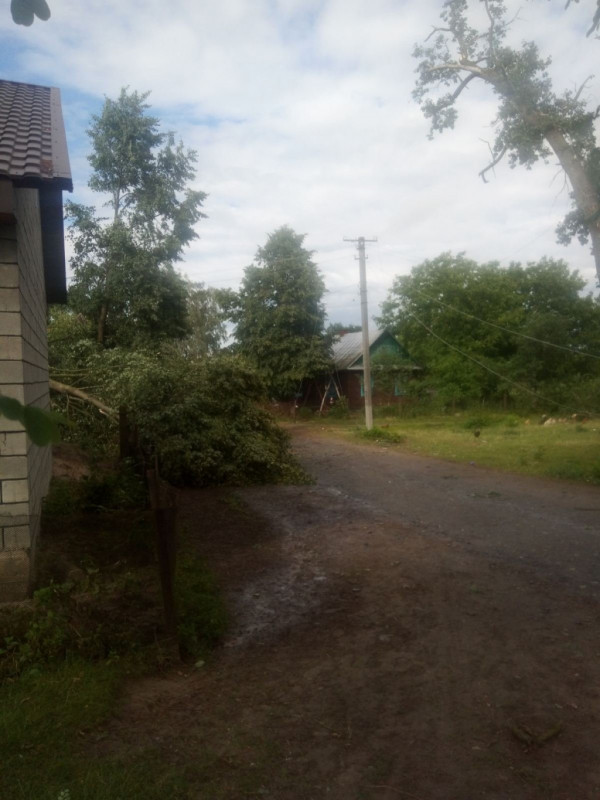 Розкриті дахи та повалені дерева: У селі на Волині буревій наробив лиха