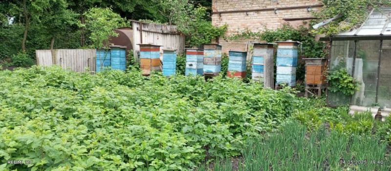 «Як не буде бджілок, не буде людей на Землі»: пасічники з Волині про підготовку вуликів до зими
