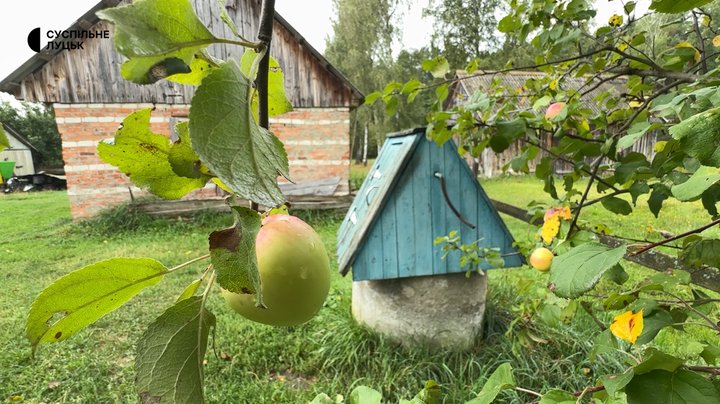 Як живе село на Волині, де автобус приїжджає лише двічі на тиждень