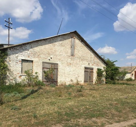 Біля Луцька продають свиноферму за 4 мільйони