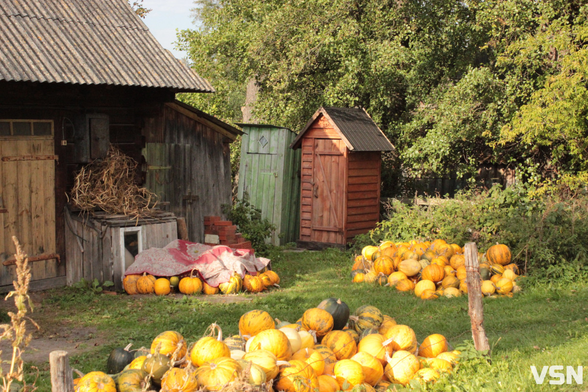 Як живе поліське село на Волині. Фоторепортаж.