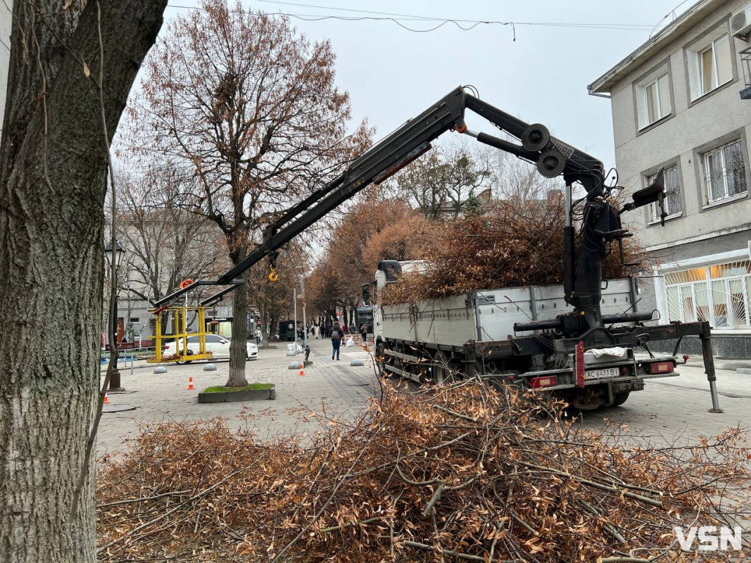 У центрі Луцька стартувала планова обрізка крон дерев