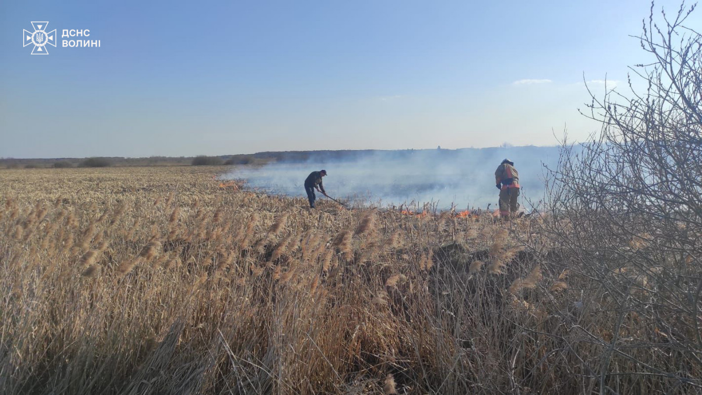 На Волині за добу загасили понад 14 гектарів вогню в екосистемах