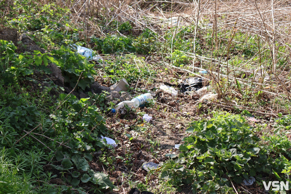 У Луцьку стартувала загальноміська толока: прибирають парки та заповідні зони