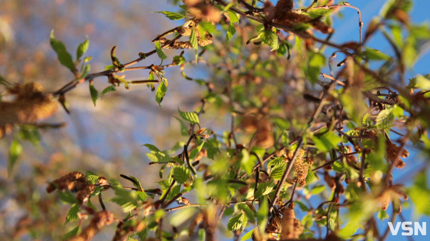 Як виглядає парк 900-річчя у Луцьку навесні 2026. Фоторепортаж