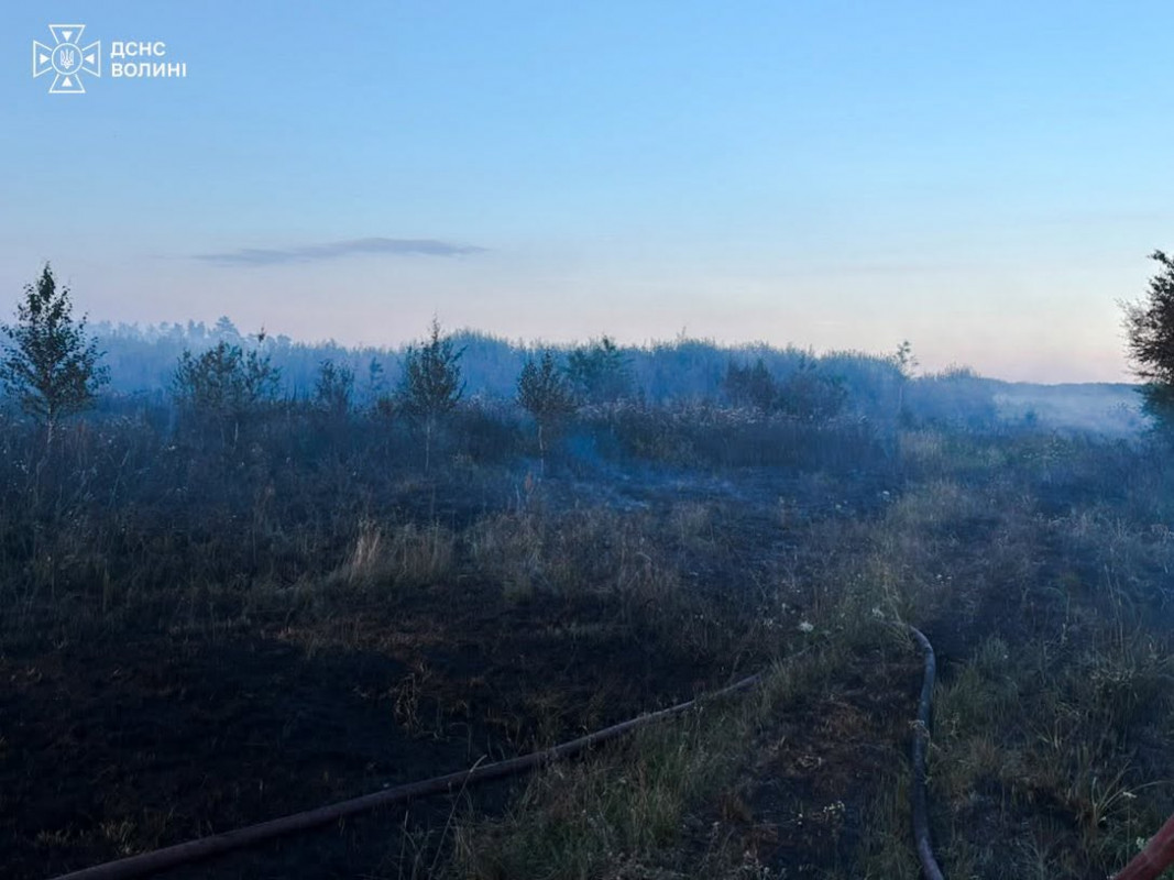 На Волині майже добу гасили пожежу торфу: вогонь охопив пів гектара
