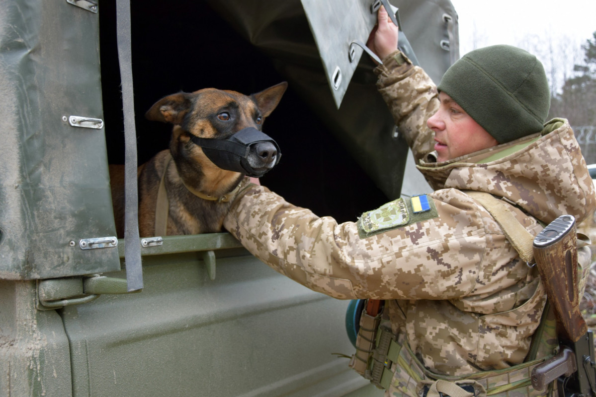 З Італії на Волинь: історія прикордонника, який разом із бельгійською вівчаркою служить на кордоні з Білоруссю