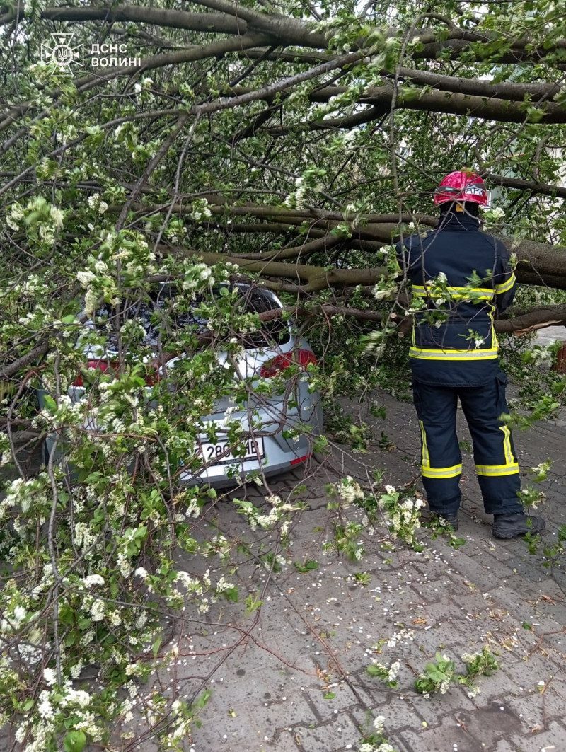 На Волині після буревію ще 7 населених пунктів залишаються знеструмленими