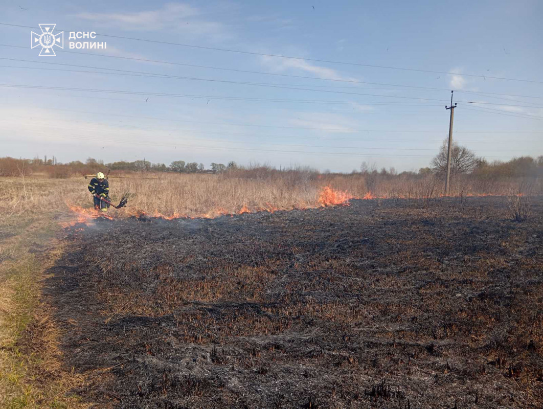 Через підпали на Волині за добу вигоріло понад 12 гектарів сухостою