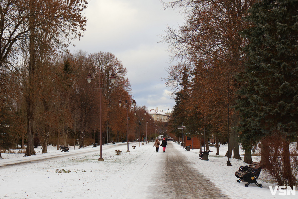 Як виглядає центральний парк у Луцьку у перші дні 2026 року. Фоторепортаж