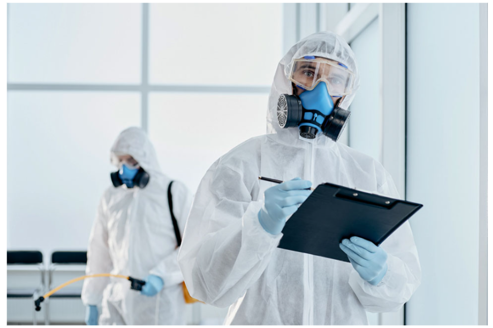 Сучасні методи дезінсекції: екологічність та ефективність