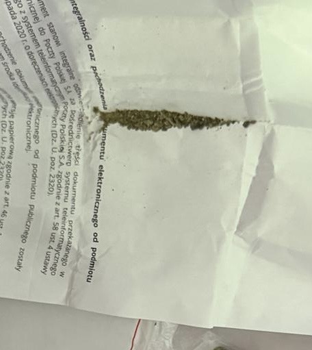 На волинському митному посту «Устилуг» службова лабрадорка винюхала наркотики у газовій плитці