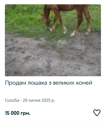Ринок сільгосптварин на Волині: скільки коштують корови, телички, коні та кролі