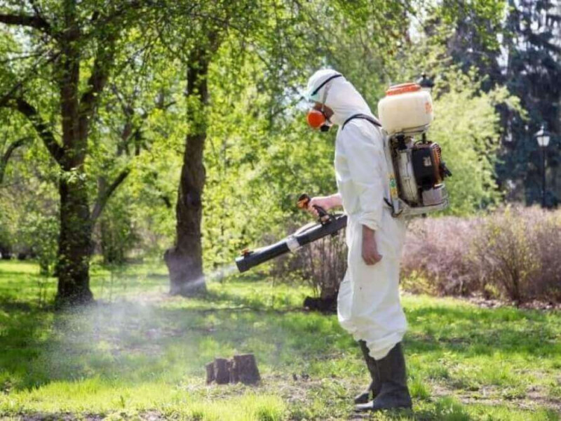 Кліщі на Волині: як вберегтися та що робити при укусі?