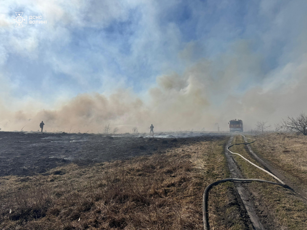 На Волині протягом доби вигоріло близько 16 гектарів сухої трави