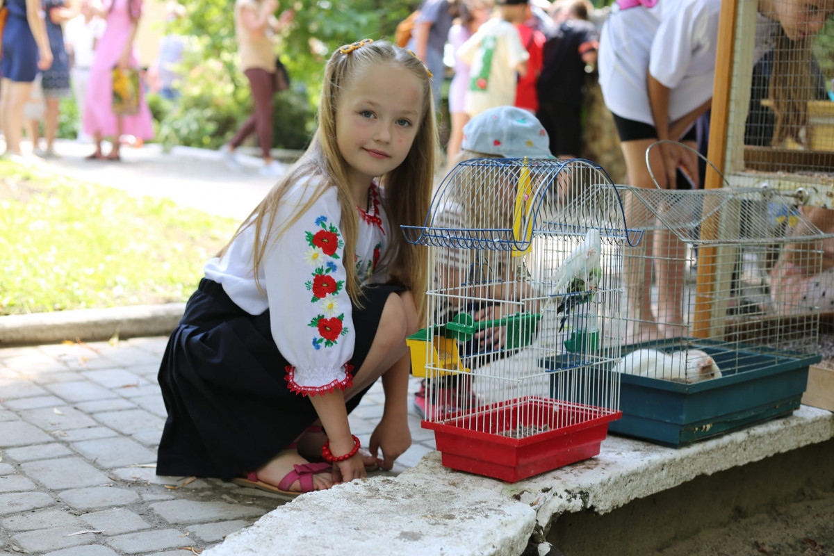 Близько ста учасників з різних куточків Волині: у Луцьку відбувся унікальний конкурс для дітей