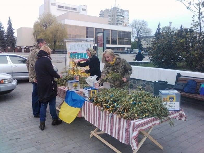 У Вербну неділю в Луцьку продаватимуть вербу, щоб допомогти військовим