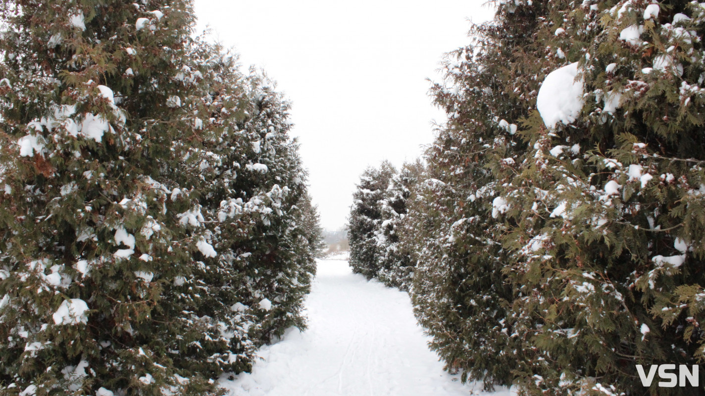 Ковель після снігопадів: фоторепортаж із засніженого міста