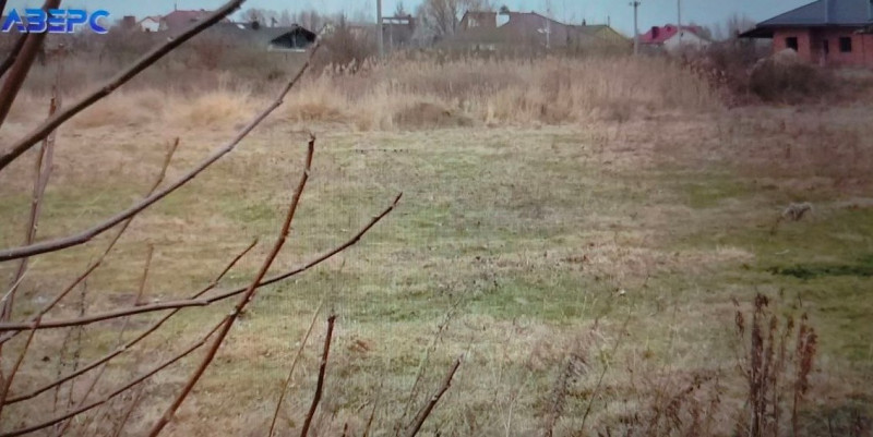 Стадіон чи дерибан: у Луцьку сперечаються через 2 га комунальної землі