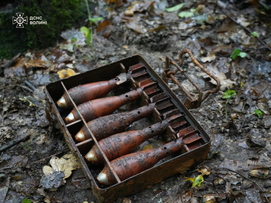 На Волині виявили майже сотню боєприпасів часів Другої світової війни