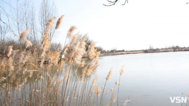 Два гачки і лише з берега: рибалок попередили про нові заборони з квітня на Волині