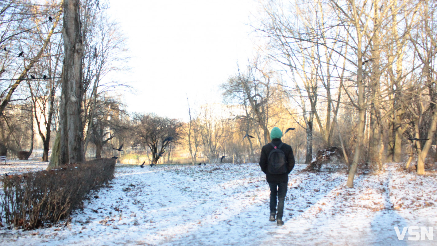 Засніжений Луцьк: як виглядають парки та двори міста взимку напередодні Нового 2026 року. Фоторепортаж