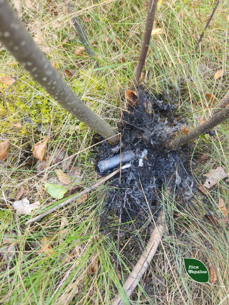 У лісі на Волині виявили уламки збитого «шахеда»: що відомо