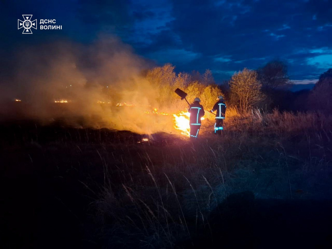 Через людську недбалість на Волині вигоріло близько 6 гектарів сухостою