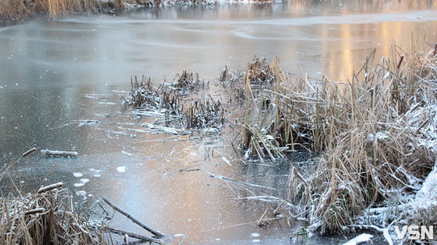 Засніжений Луцьк: як виглядають парки та двори міста взимку напередодні Нового 2026 року. Фоторепортаж