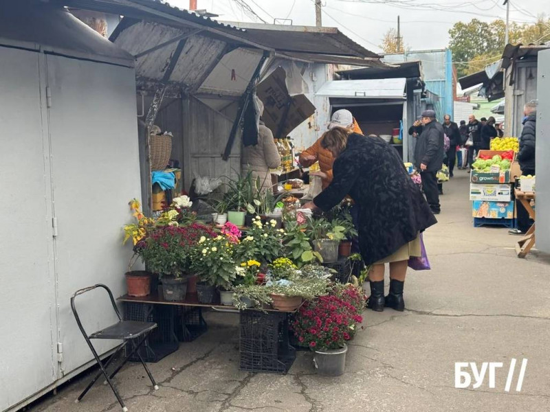 Що продають на осінньому ринку на Волині: ціни на овочі, фрукти та саджанці